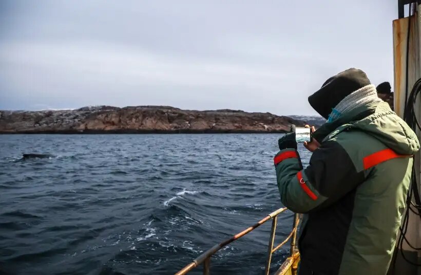     © РИА Новости. Павел Львов