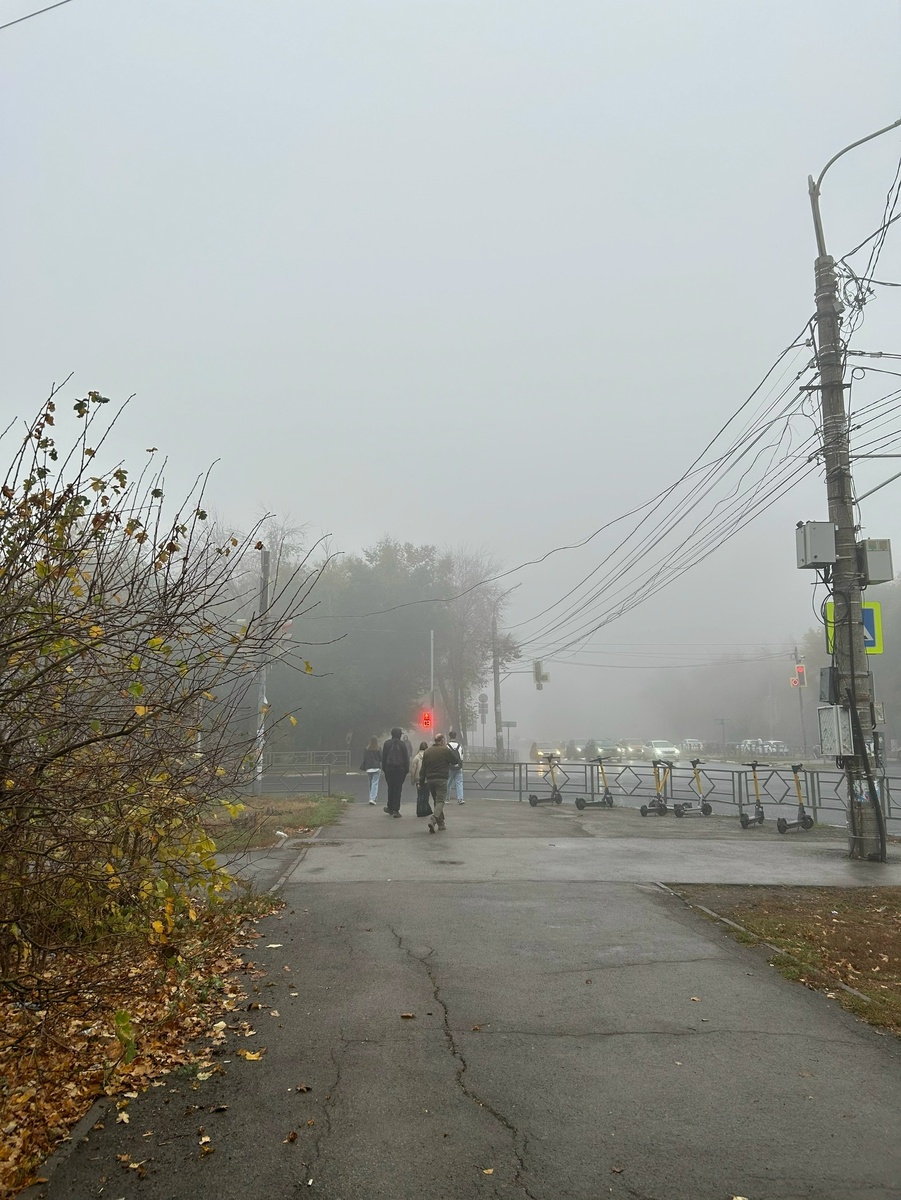    Фото: Анастасия Максименко