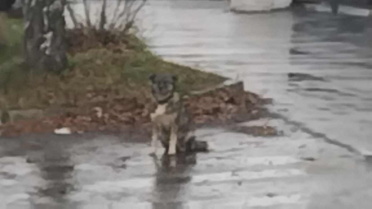 Из личного архива автора