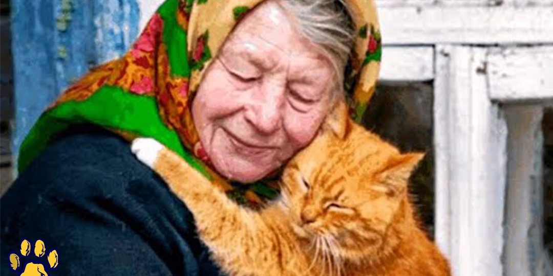 Нытьё вредно не только для здоровья, но и для души.