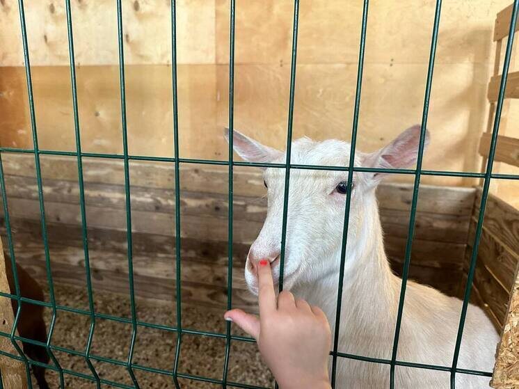     Суд назначил ему штраф в 5000 рублей, а весь конфискованный товар изъяли. Фото из архива "МК в Питере"