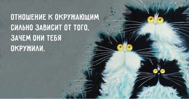 с просторов интернета