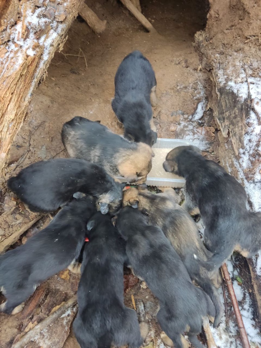 Снег и лед на фото видите?