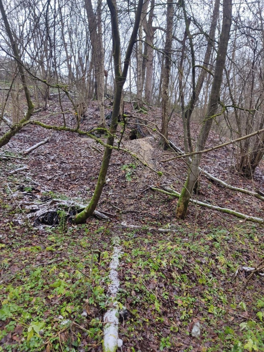 Та самая нора. Косогор, вода стекает в нору, замерзает...