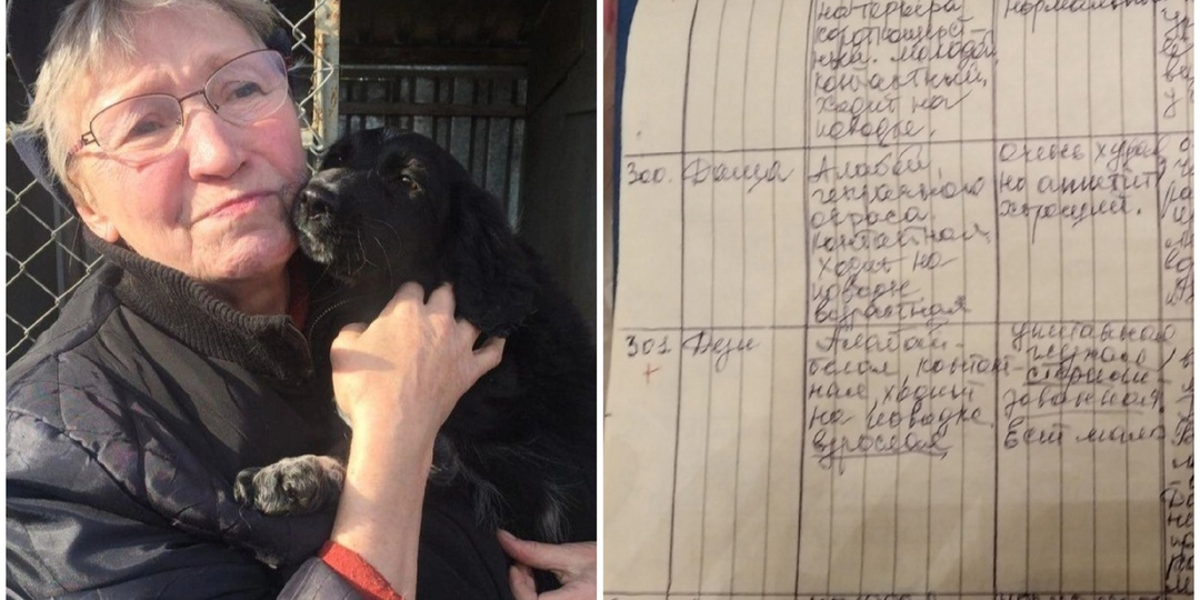Хозяйка приюта для животных 25 лет писала от руки подробные анкеты попавших к ней собак и кошек