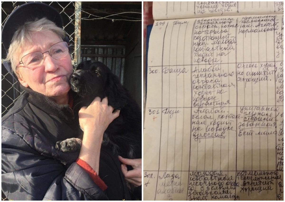 Татьяна Воронина. Фото: ЧГООЗЖ Приют «Друг» / предоставлено для публикации hornews.com