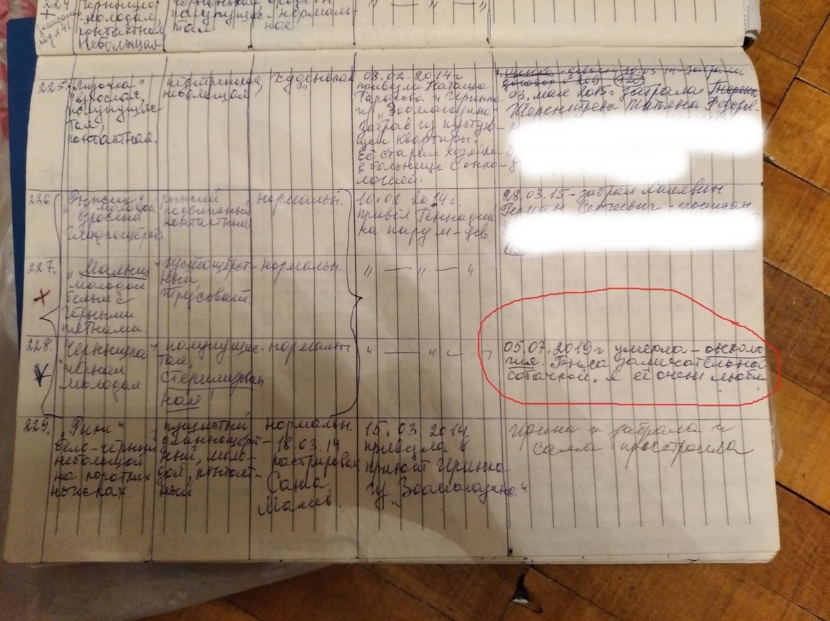 Бумажный журнал подопечных приюта. Фото: ЧГООЗЖ Приют «Друг» / предоставлено для публикации hornews.com