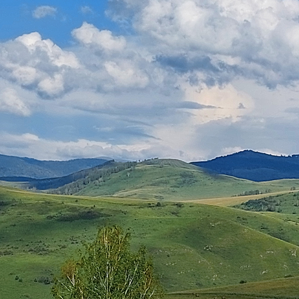 Июль 2024 Дорога из Чарыша в Тулату. Тоже сопки есть