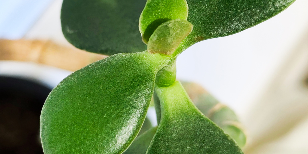 "Я потерял смысл жизни и чувствую себя ненужным."