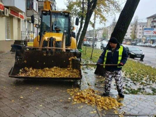    Фото: Официальный сайт администрации городского округа города Воронежа
