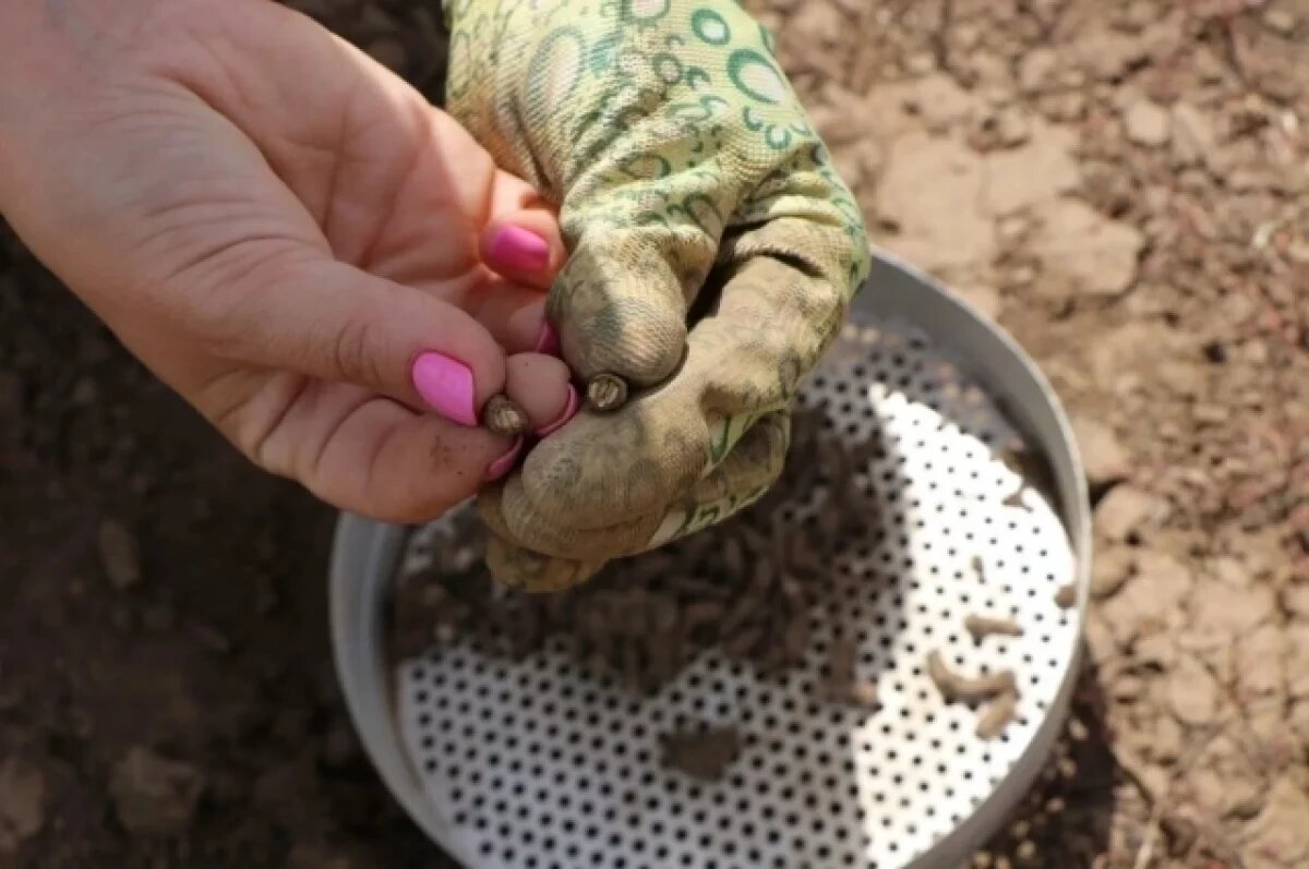    Осенний марафон.