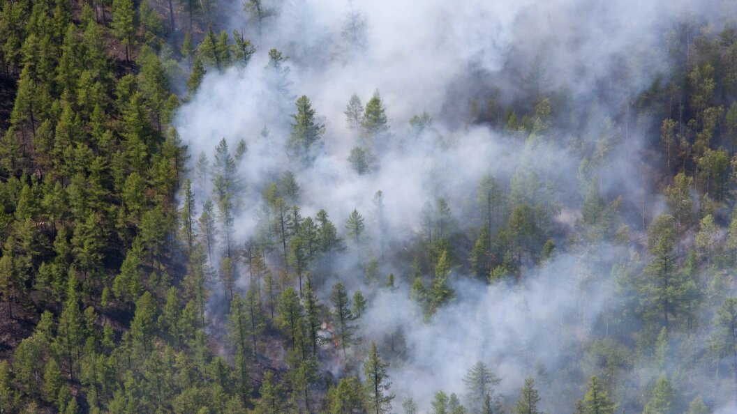    Фото:Serguei Fomine/Globallookpress