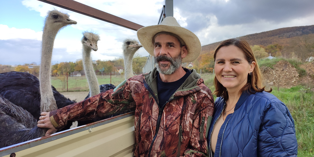 «Наши страусы трубят на всю долину». Швейцарский айтишник открыл в Крыму экзотическую ферму