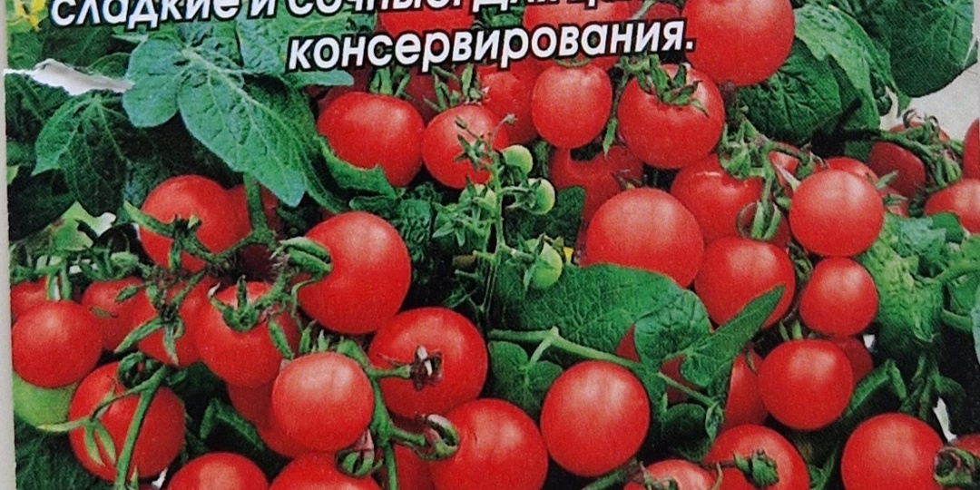 Открыла посевную.