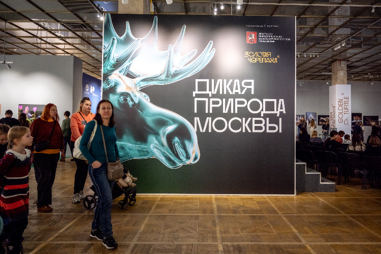    Фото: Юлия Федотова