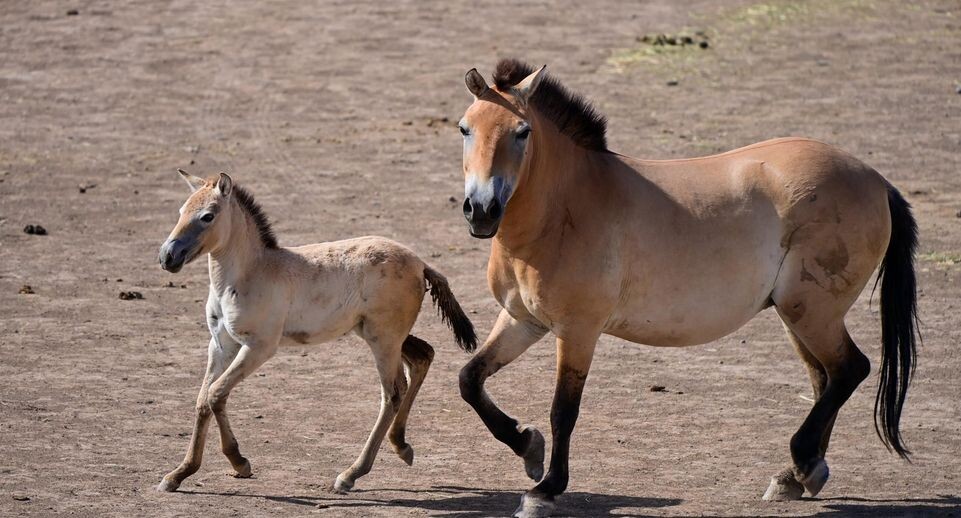    Ding Lei/XinHua / www.globallookpress.com
