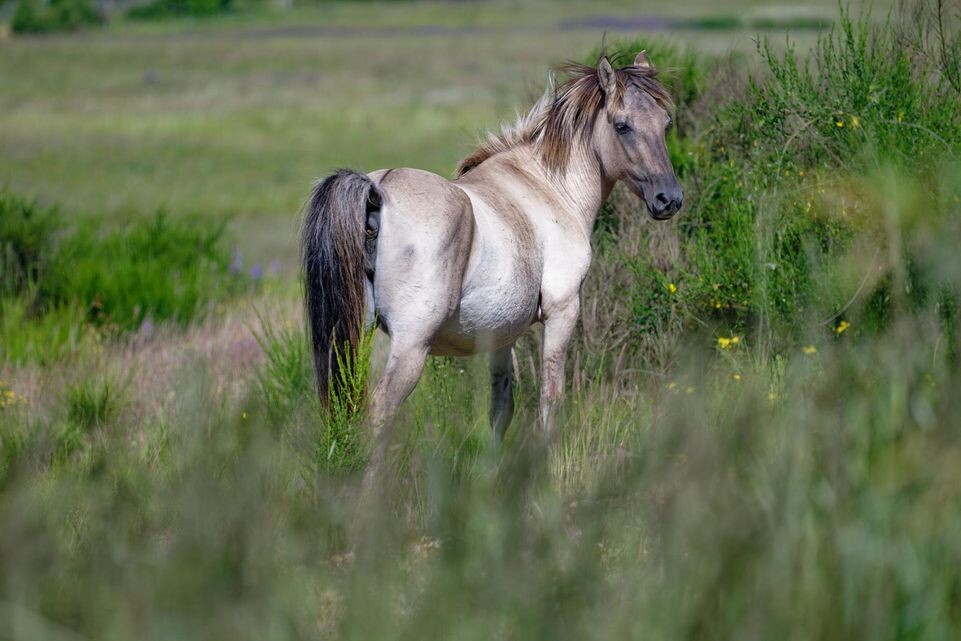    Henning Kaiser/dpa / www.globallookpress.com