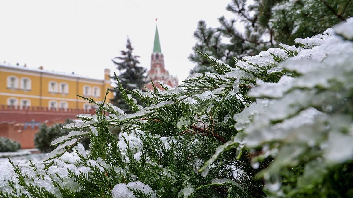    Фото: Ярослав Чингаев / АГН Москва