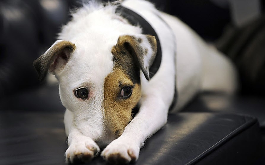 Состояние стресса