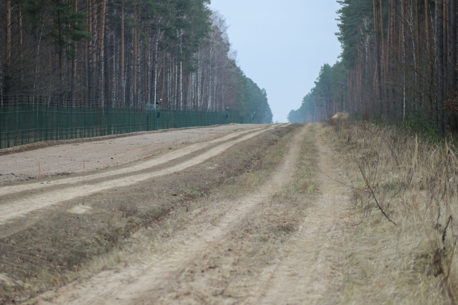    Сергей Петров/NEWS.ru