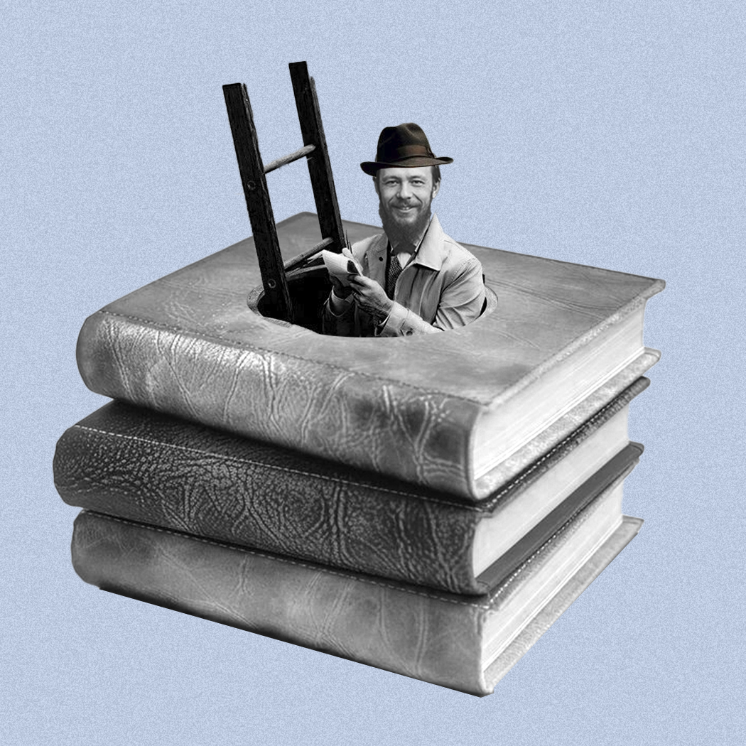 автор изображения: Екатерина Амбарникова @Kukukateam