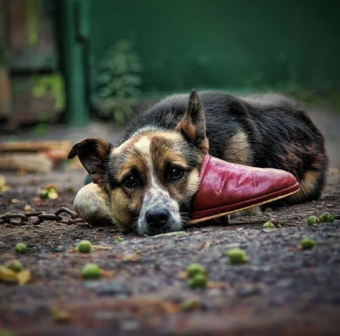 Люблю, жду, надеюсь…