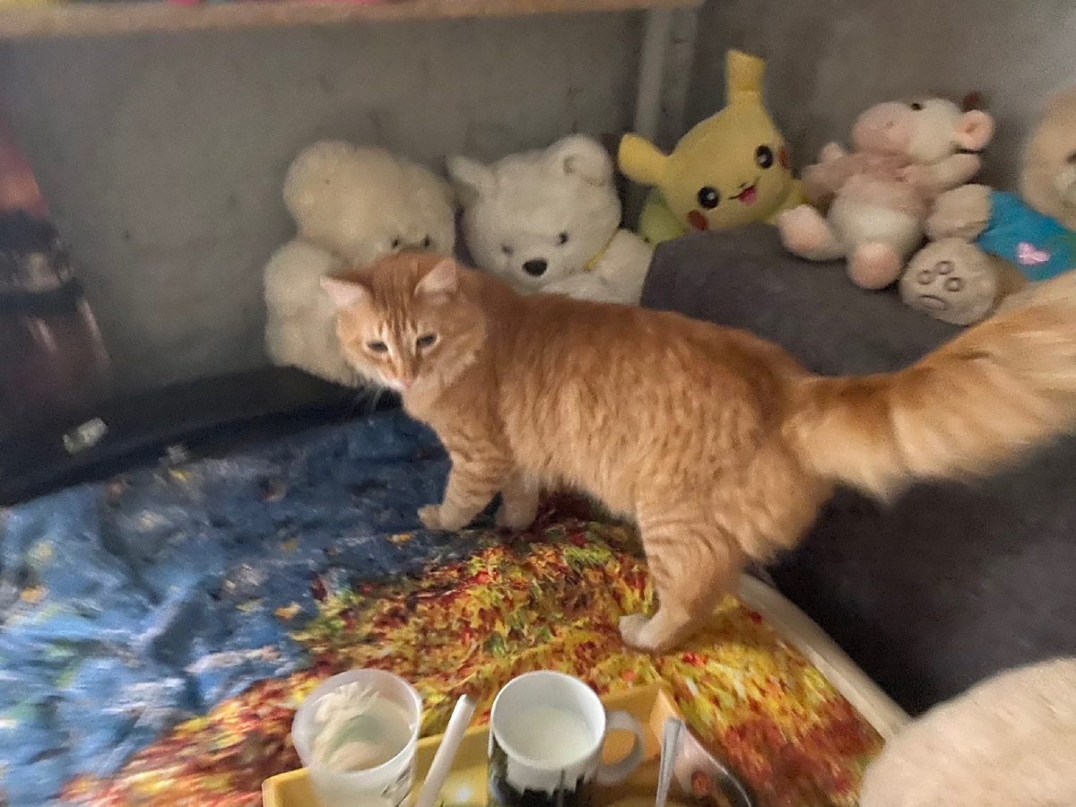 Ну я сделала примерно такое лицо и согласилась ☺️