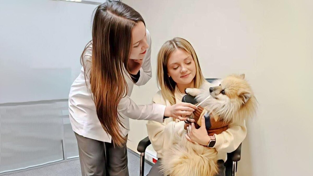    Фото: пресс-служба администрации Санкт-Петербурга