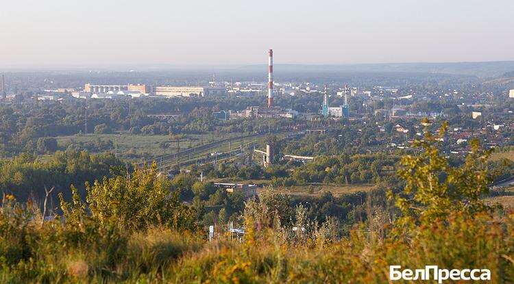 Фото: Елена Журавлёва (архив)