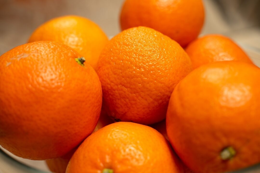 Фото: Александр Плонский / «Агроэксперт»