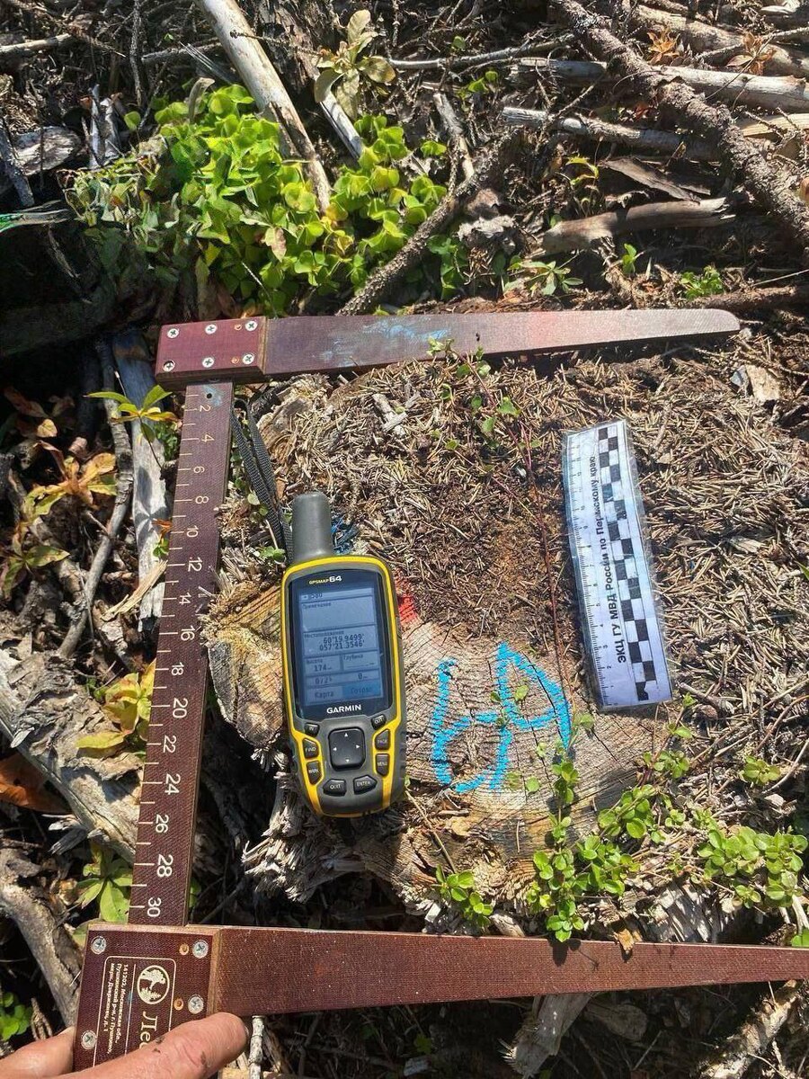    © Прокуратура Пермского края