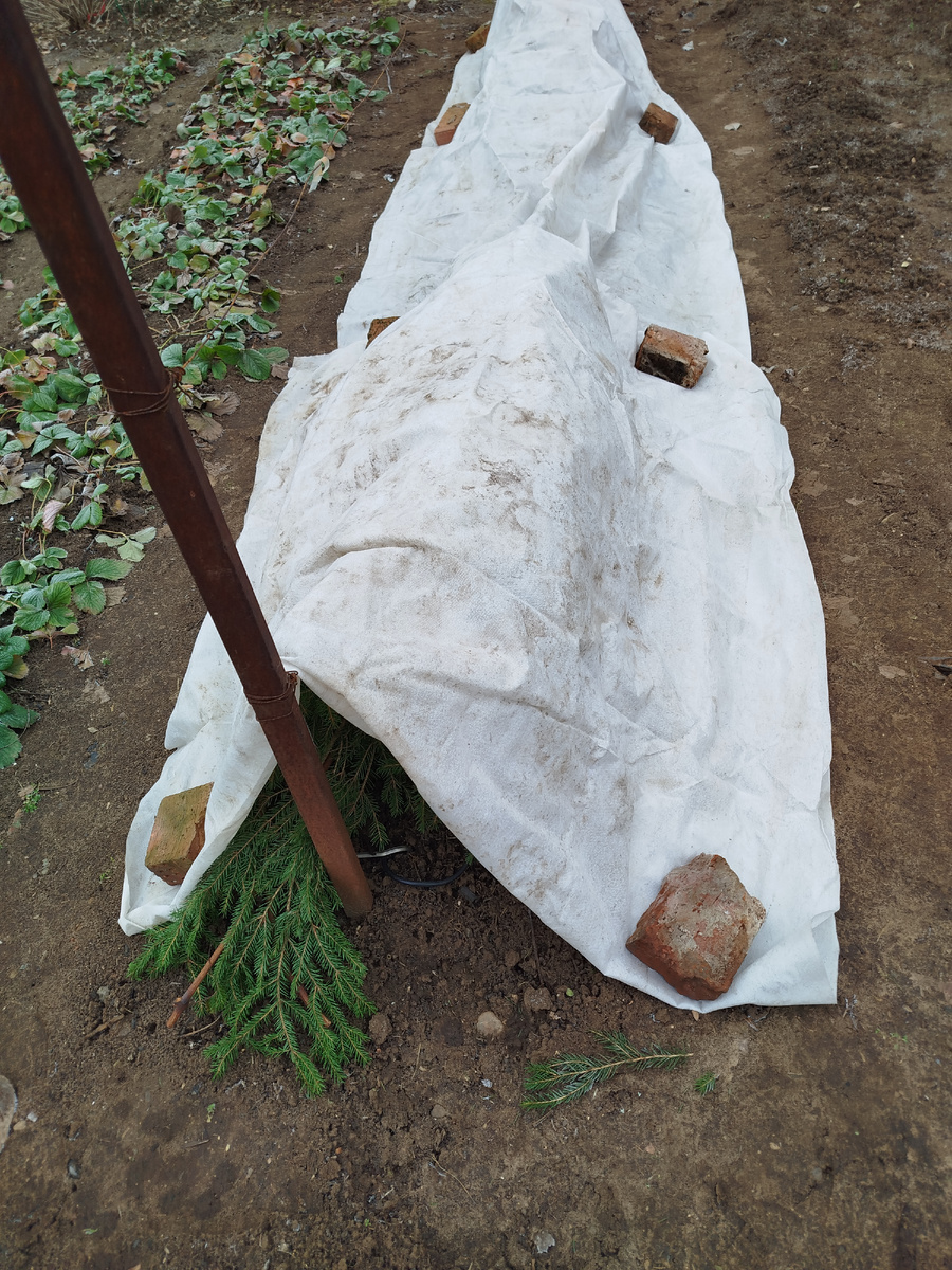 С торцов оставил продыхи.