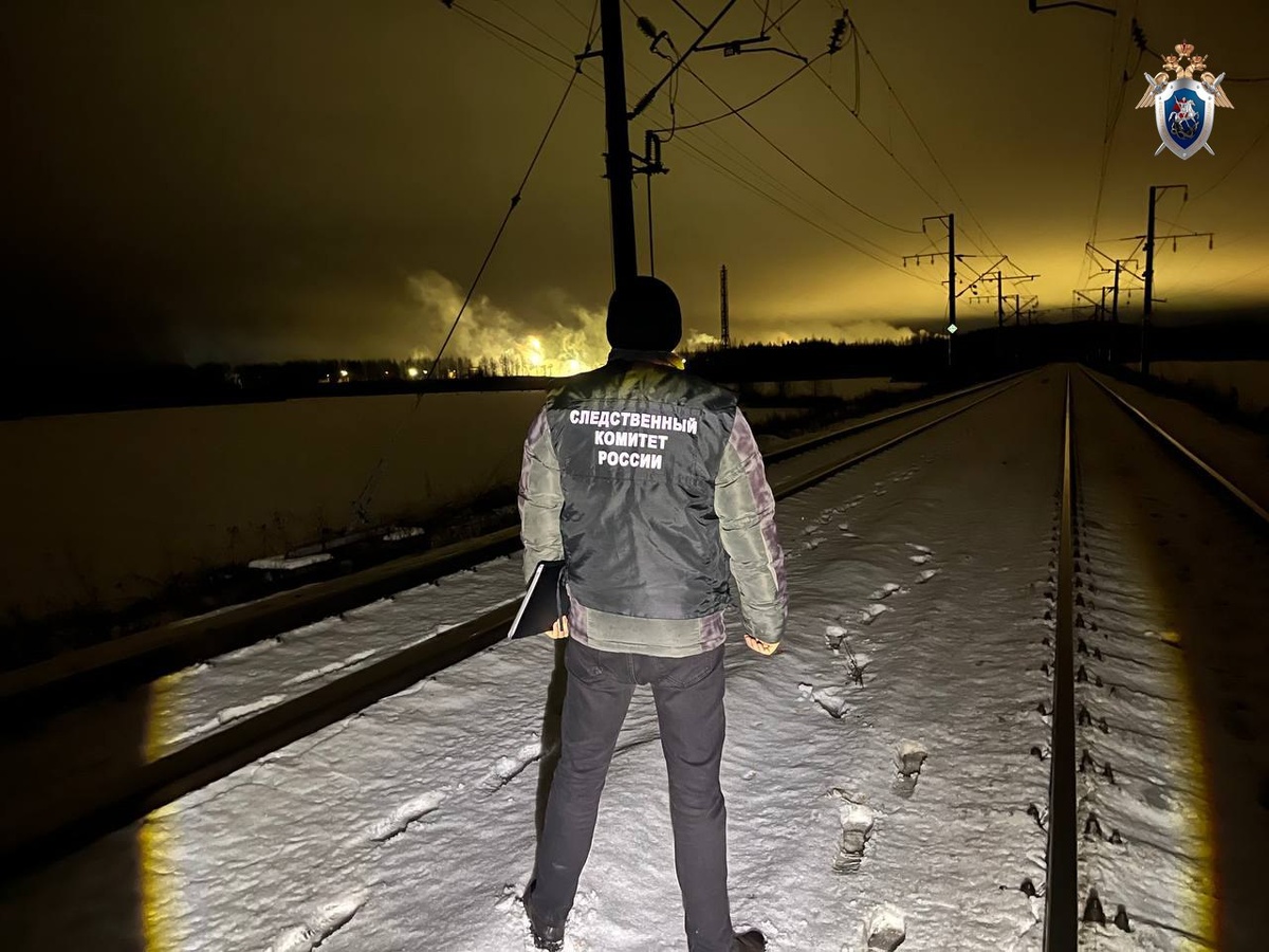    фото: © Следственный комитет Карелии