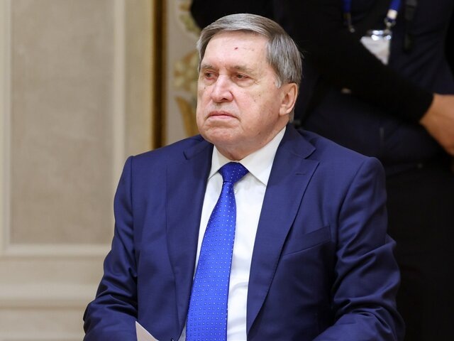    Фото: ТАСС/Александр Казаков