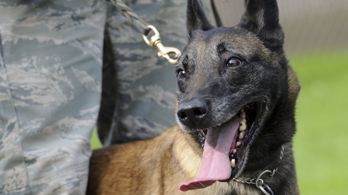    Бартон не знал, что с ним что-то «не так» и тренировался в полную силу