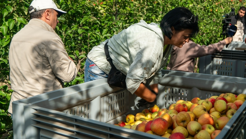      Фото: ИА «Победа26»