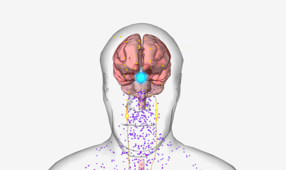 Воздействие никотина на центральную нервную систему. (источник изображения: freepik.com)