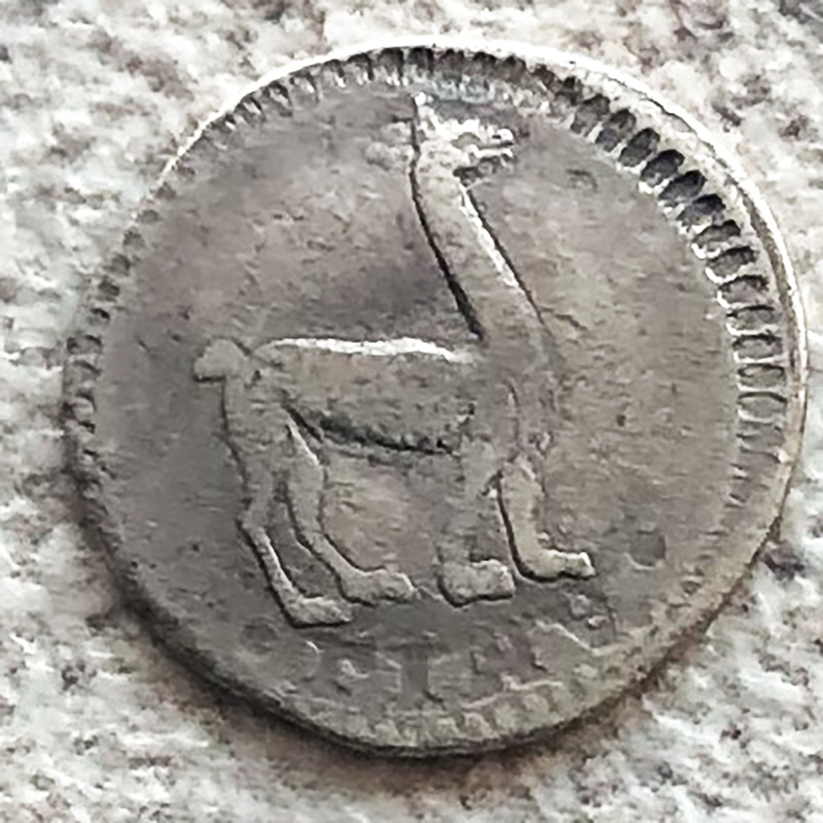 Перу четверть реала 1834. Фото автора. 