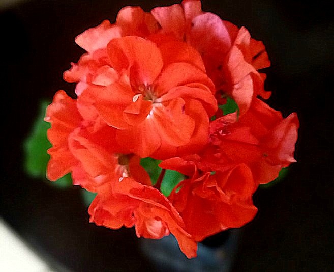 Чудо-шар, притом огненный.