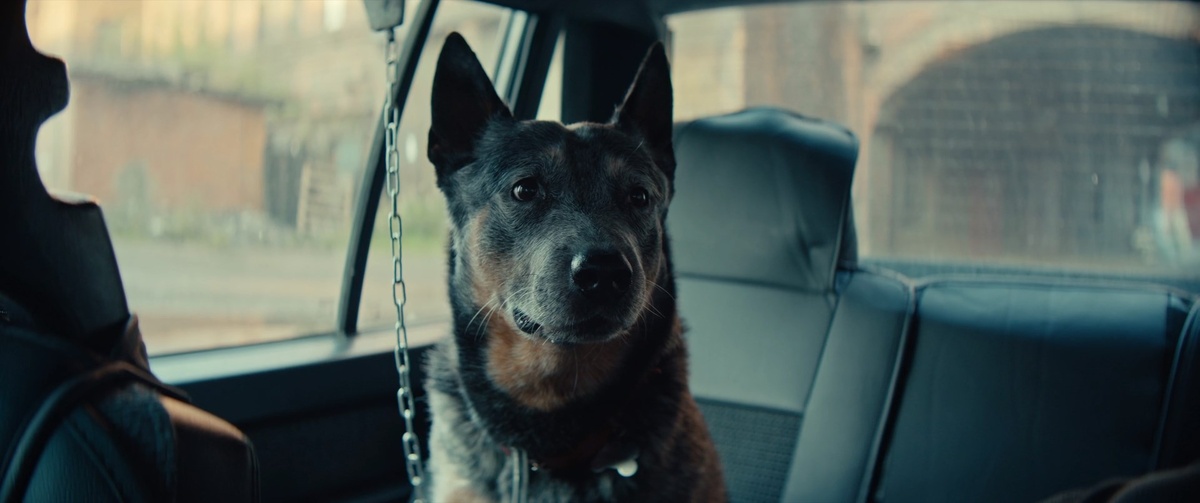 Кадр из фильма Волшебный участок 2 сезон (2025)