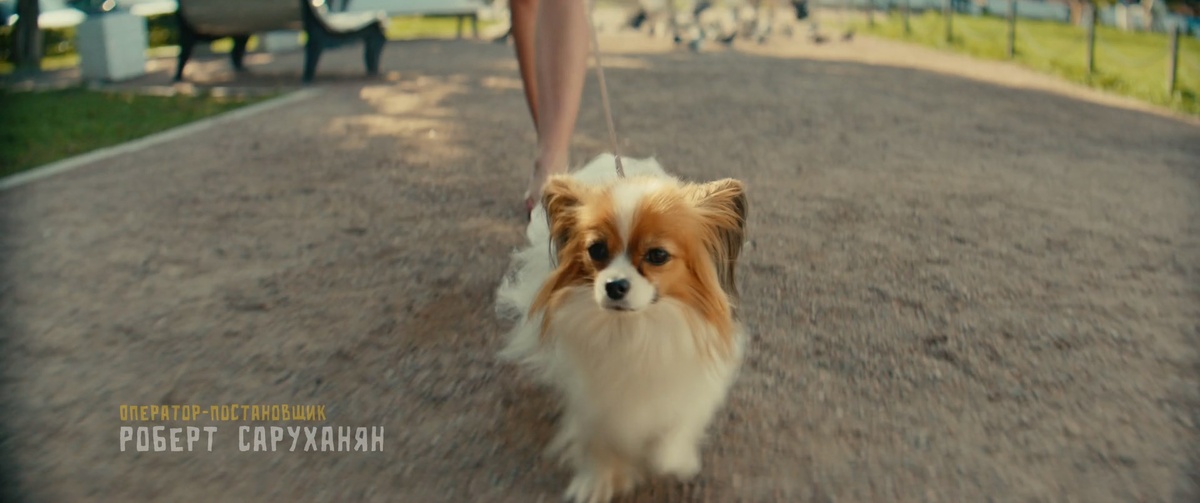 Кадр из фильма Волшебный участок 2 сезон (2025)