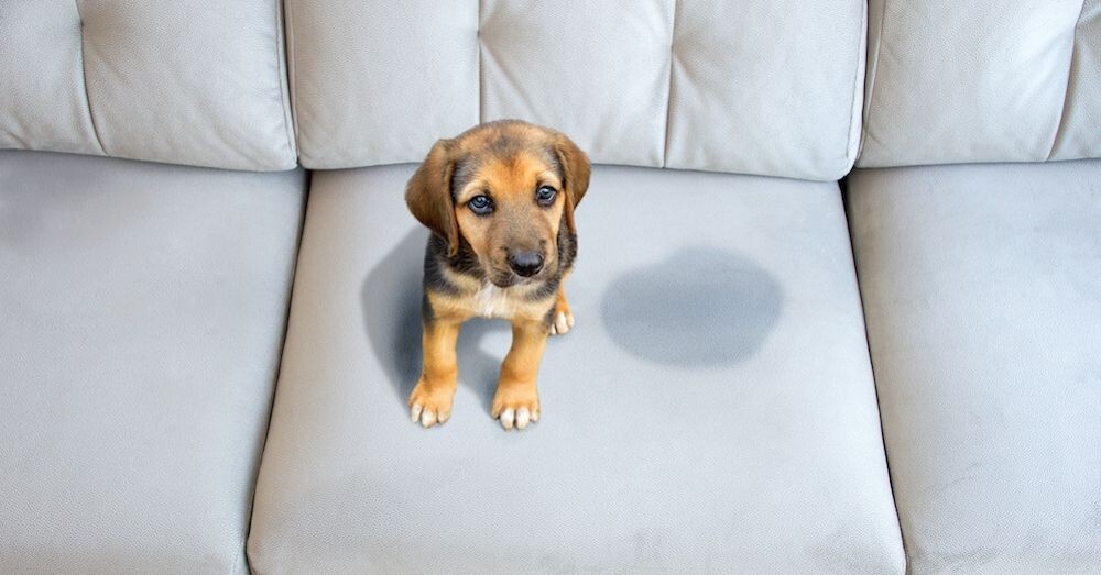 Фото: ru.pinterest.com