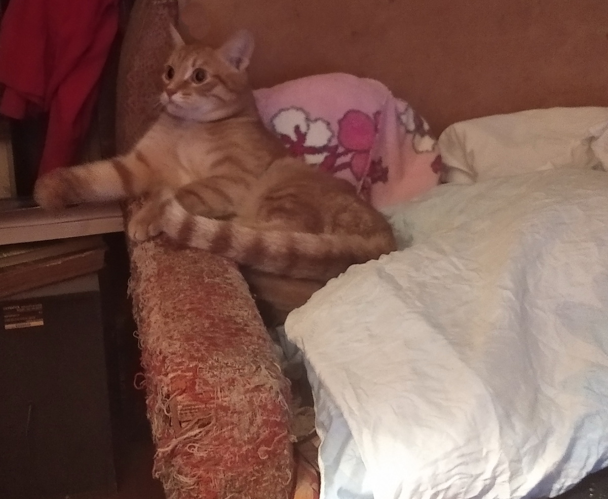 личное фото