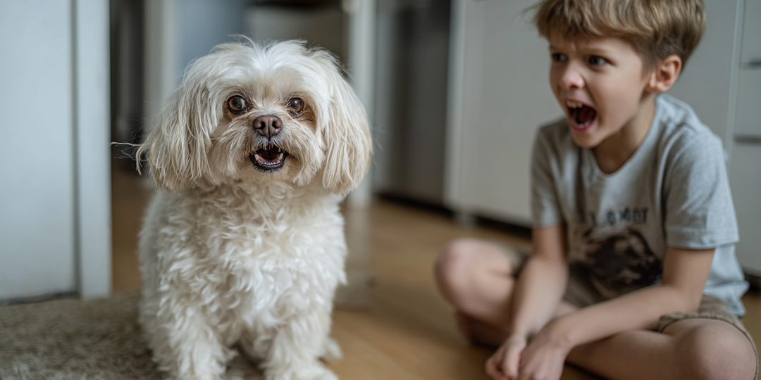 11 пород собак с нежной душой, которые не выносят жестокости