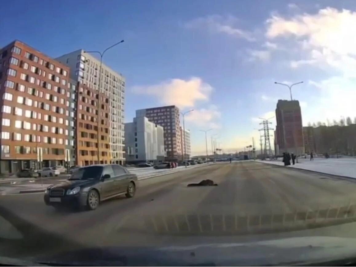     / Источник: © Кадр из видео