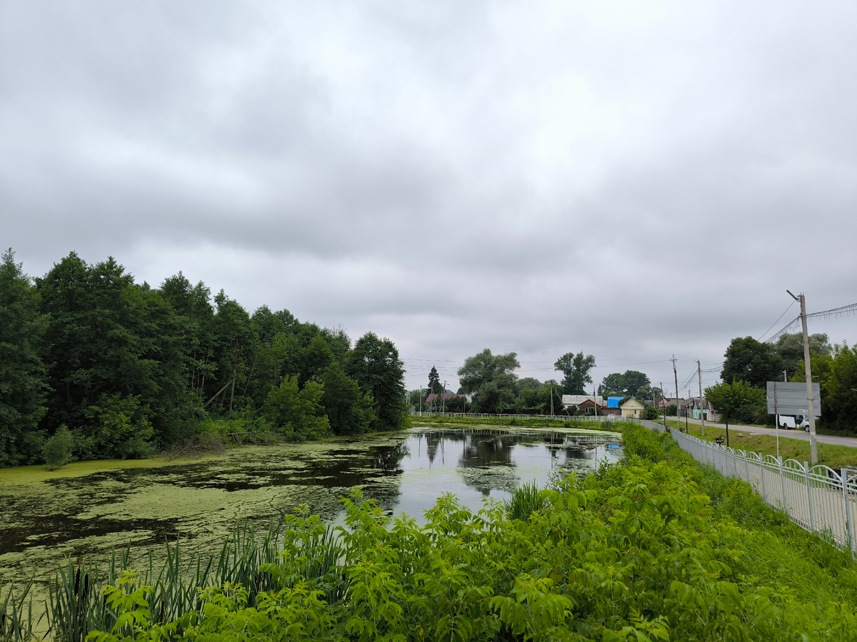 Старица реки Суходрев