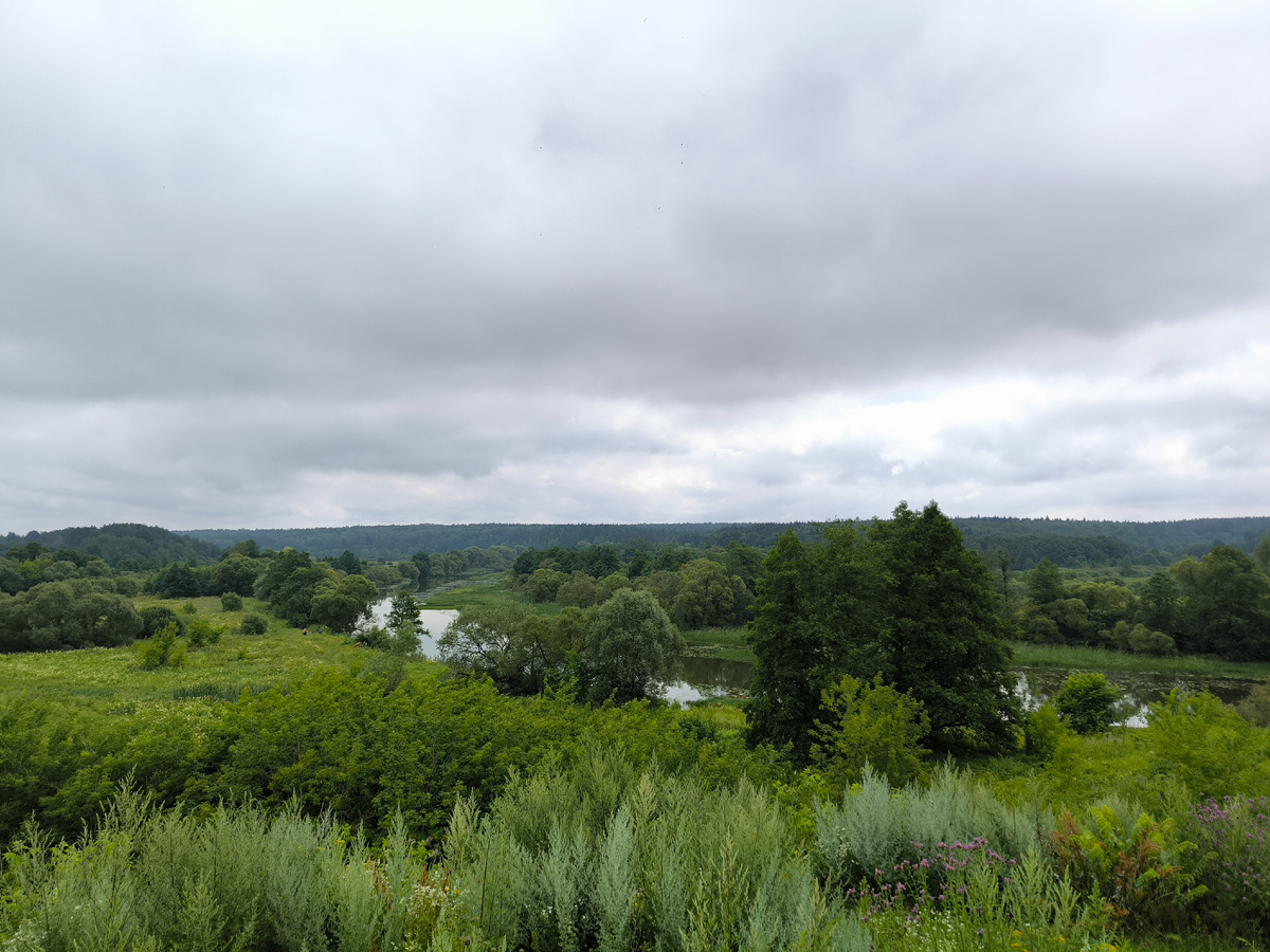 Излучина реки Суходрев, вид из усадьбы