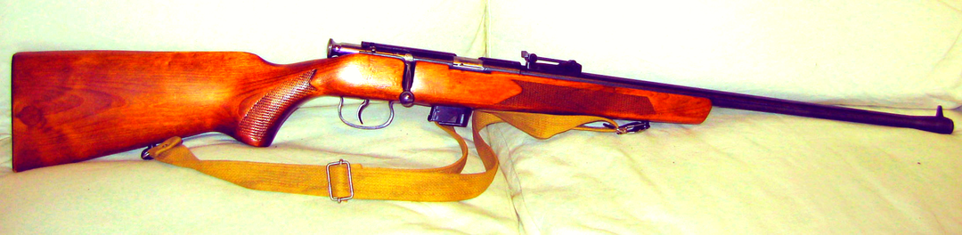 "Ученье - свет...": Примечательные модели кадетских винтовок