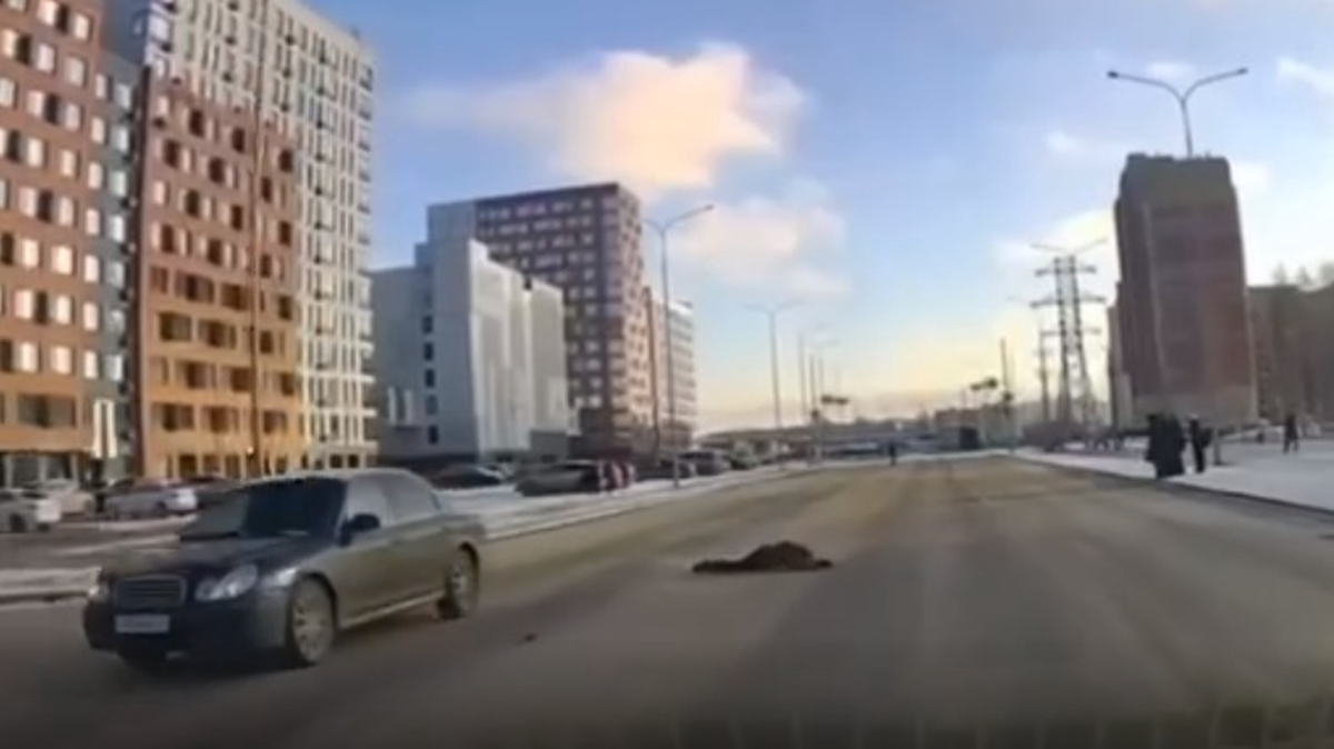    Фото: скриншот / 112 / Telegram