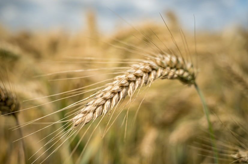    Фото: wirestock/Freepik